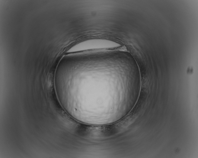 X0000090450131200708031226