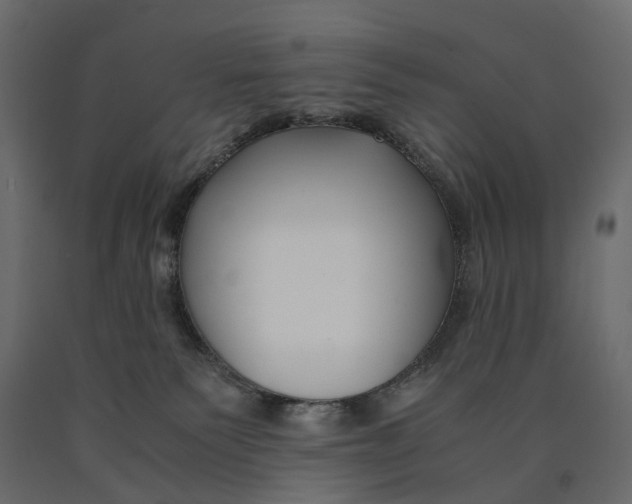 X0000090450135200708031226