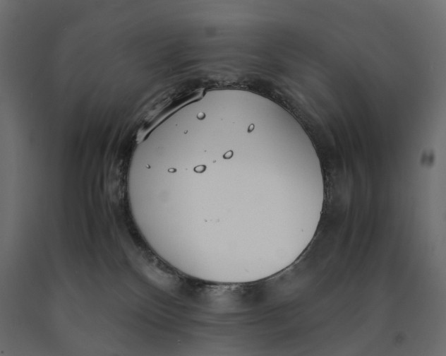 X0000090450136200708031226