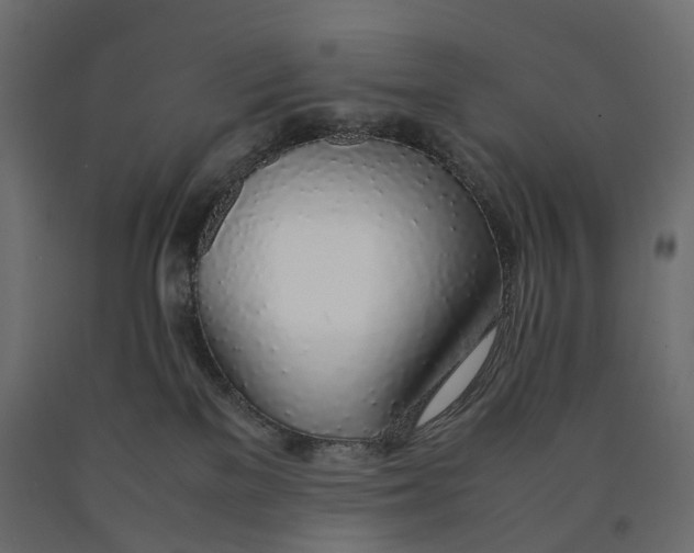 X0000090450137200708031226