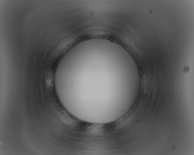 X0000090450138200708031226