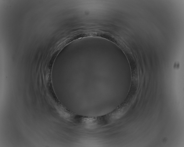 X0000090450139200708031226