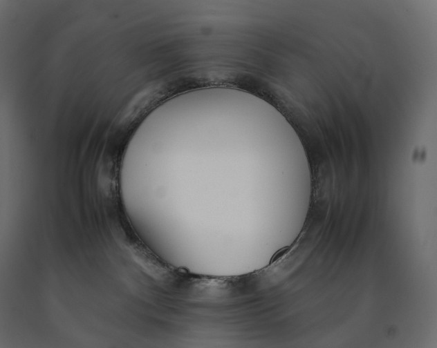 X0000090450140200708031226