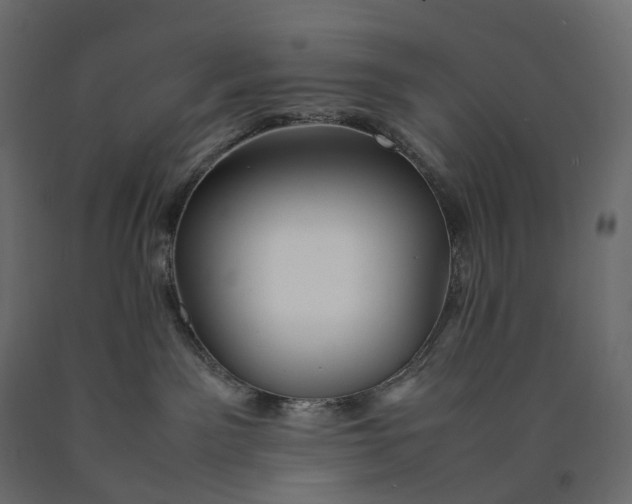 X0000090450141200708031226