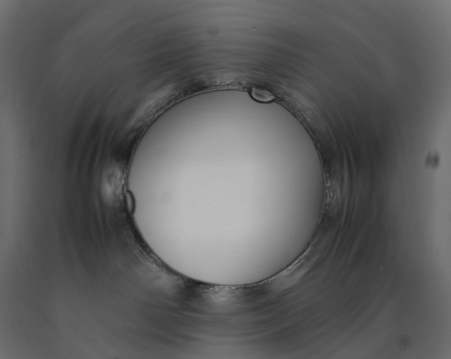 X0000090450142200708031226