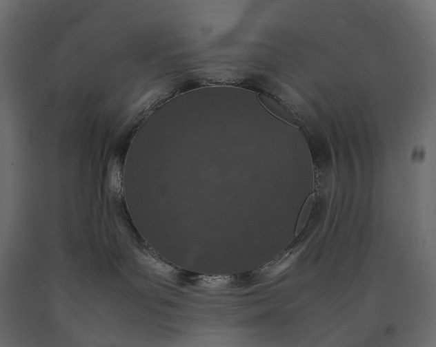 X0000090450143200708031226