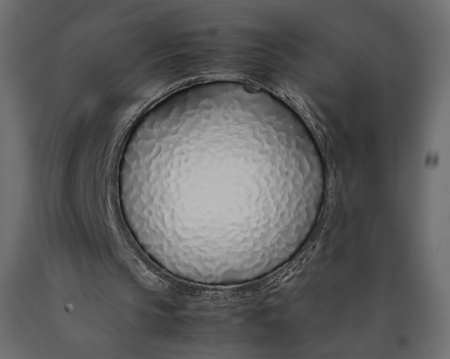 X0000090450145200708031225