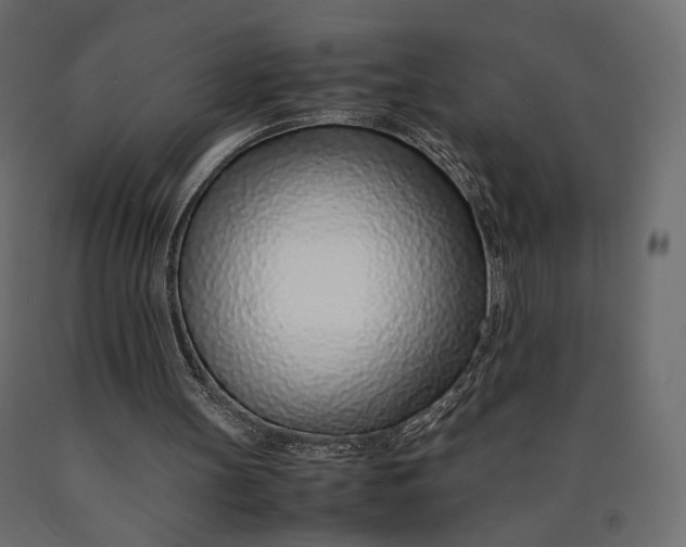 X0000090450147200708031225