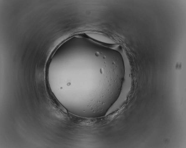 X0000090450148200708031225