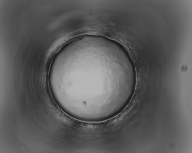 X0000090450149200708031225