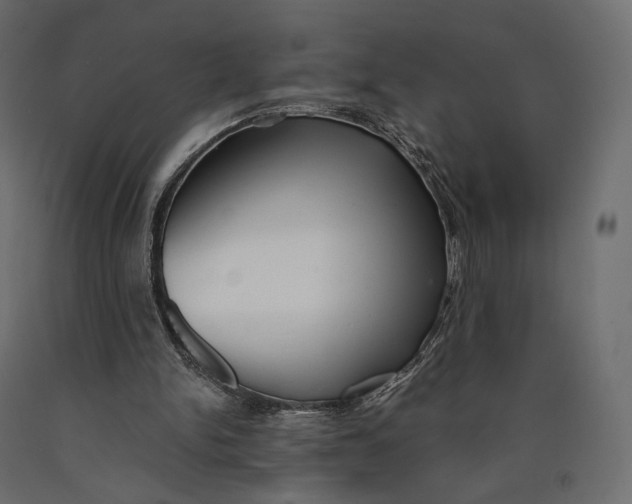 X0000090450150200708031225