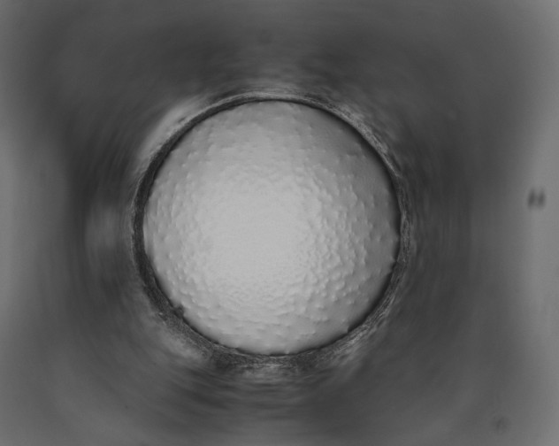 X0000090450151200708031225