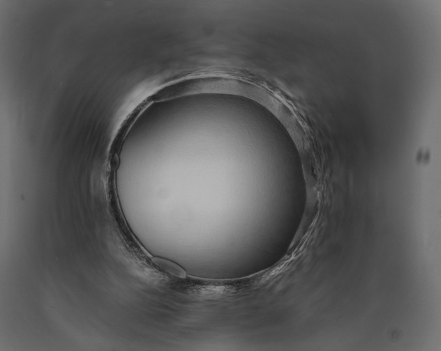 X0000090450152200708031225