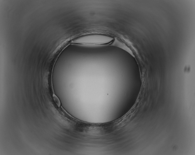 X0000090450154200708031225