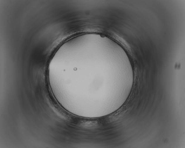 X0000090450155200708031225