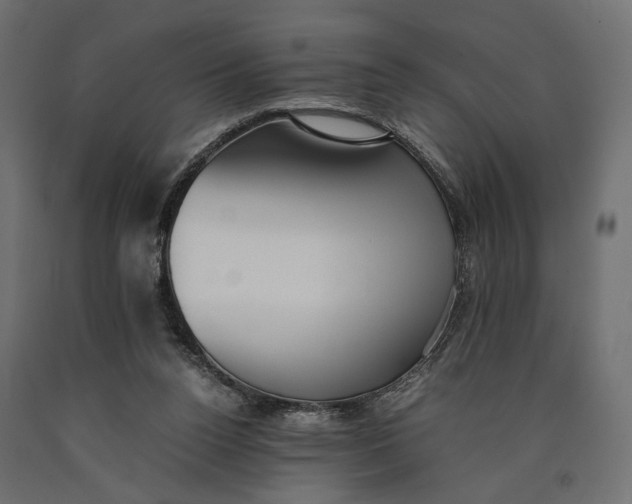 X0000090450160200708031225