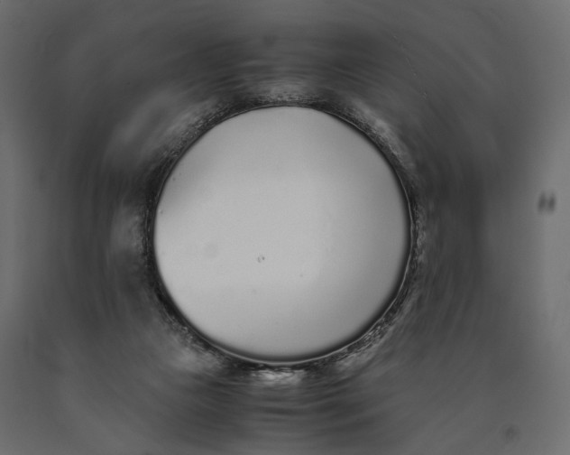 X0000090450161200708031225