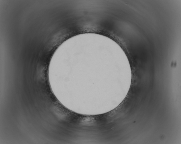 X0000090450162200708031225