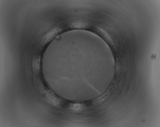 X0000090450163200708031225