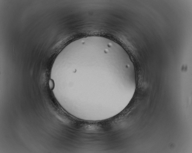 X0000090450165200708031226