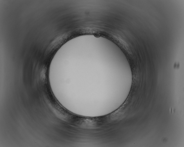 X0000090450166200708031226