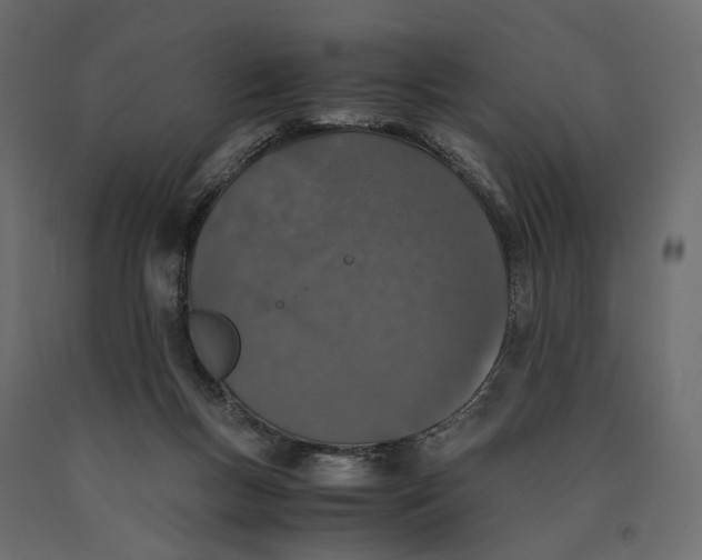 X0000090450167200708031226