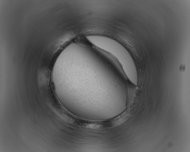 X0000090450168200708031226