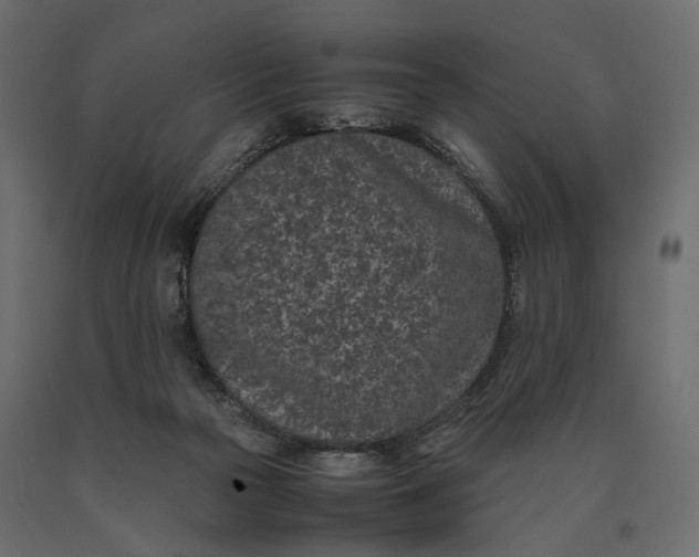 X0000090450169200708031226