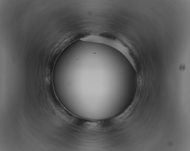 X0000090450170200708031226