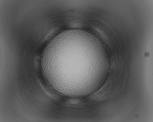 X0000090450171200708031226