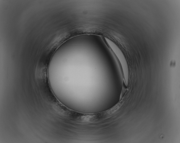 X0000090450172200708031226