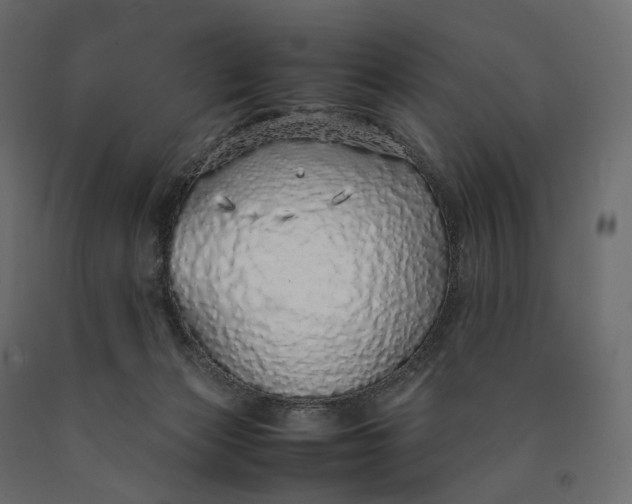 X0000090450173200708031226