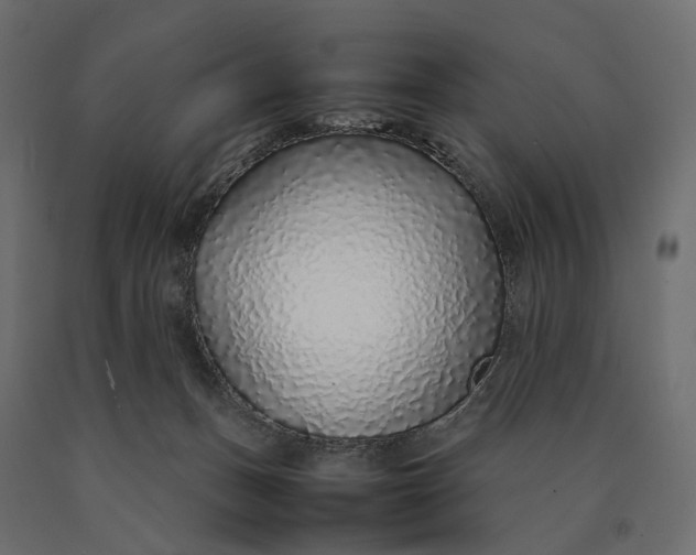 X0000090450175200708031226