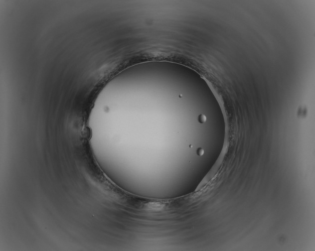 X0000090450176200708031226