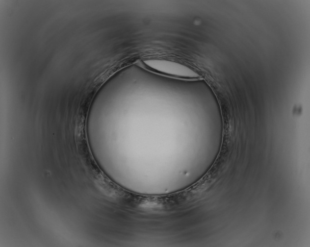 X0000090450177200708031226