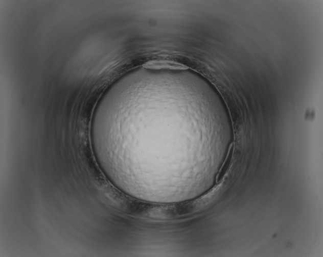 X0000090450178200708031226