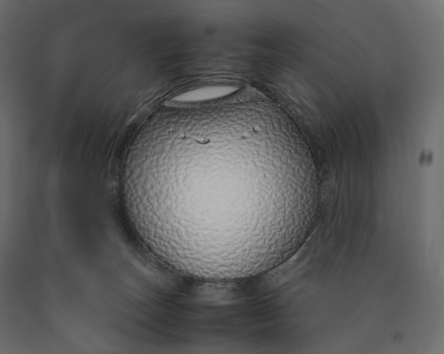 X0000090450179200708031226