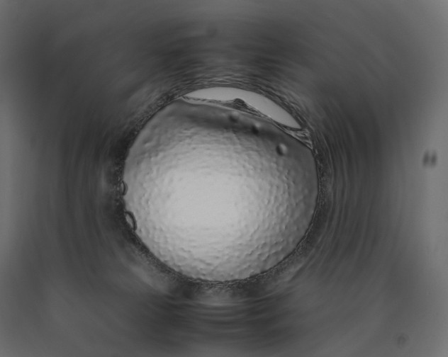 X0000090450181200708031226