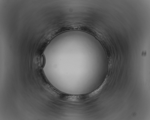 X0000090450182200708031226