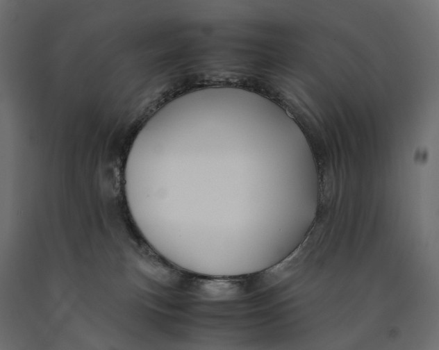 X0000090450183200708031226