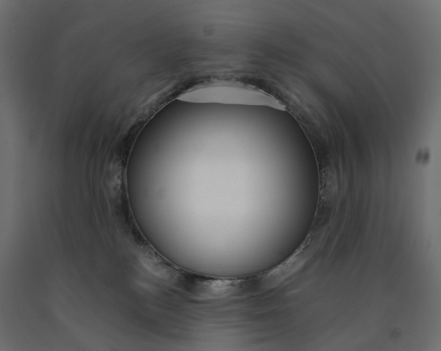 X0000090450184200708031226