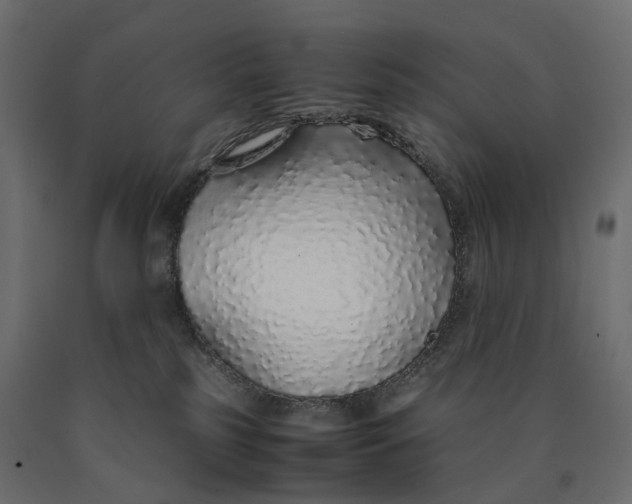 X0000090450185200708031226