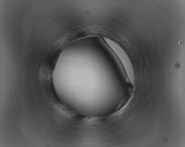 X0000090450186200708031226