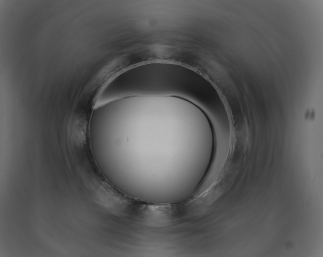 X0000090450188200708031226