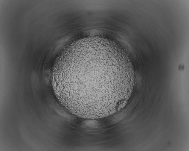 X0000090450189200708031226