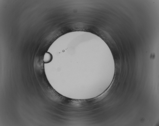 X0000090450190200708031226