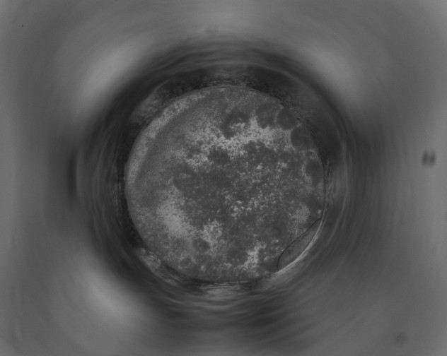 X0000090450191200708031226