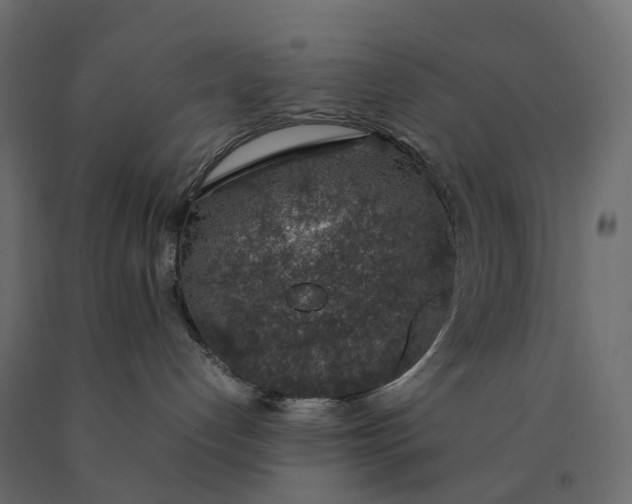 X0000090450192200708031226