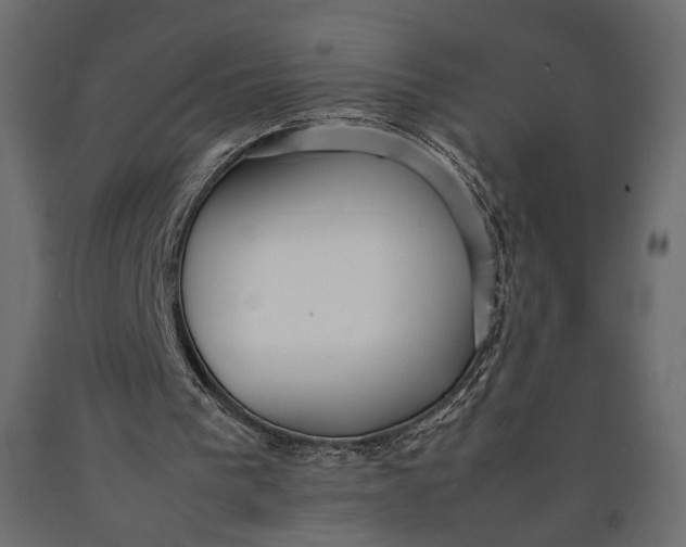 X0000090450193200708031225