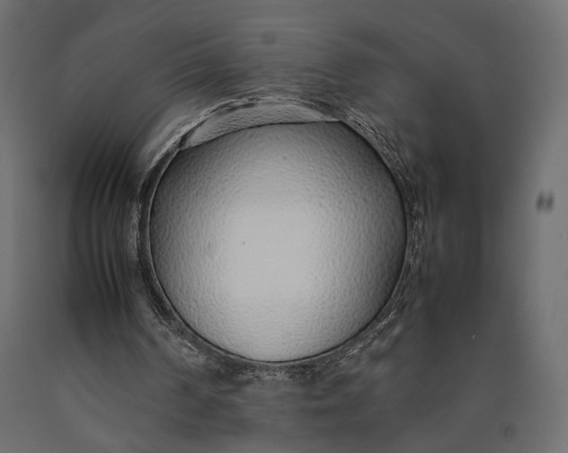 X0000090450194200708031225